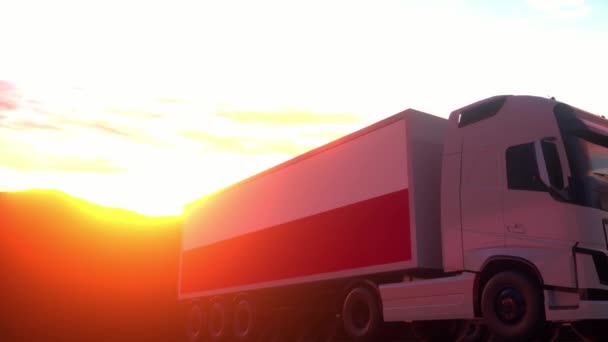 ポーランドの旗を持つ貨物トラック ポーランドからのトラック倉庫ドックにロードまたは荷役 — ストック動画