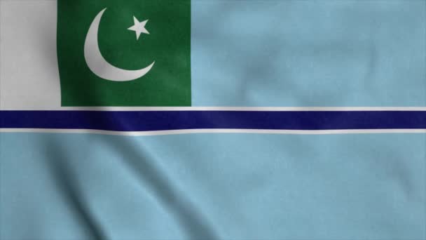 Zivile Flagge Pakistans Weht Wind — Stockvideo