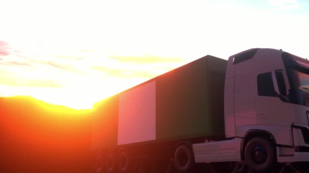 ナイジェリアの旗を持つ貨物トラック ナイジェリアからのトラック倉庫ドックへの荷役または荷役 — ストック動画