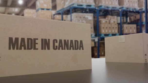 Scatole Con Testo Made Canada Trasportatore Prodotti Canadesi Relativi All — Video Stock