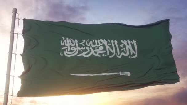 太陽の背景に手を振ってサウジアラビアの旗 — ストック動画