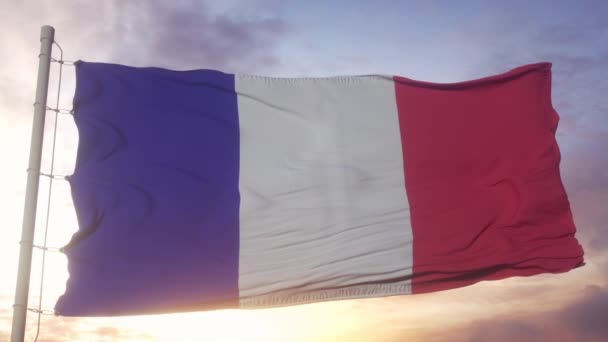 法国的国旗迎着蓝天迎风飘扬 — 图库视频影像