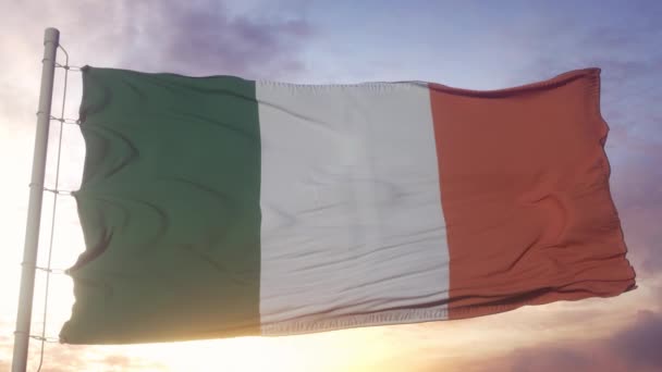 アイルランドの政治とニュースの概念 アイルランド国旗空を背景に — ストック動画
