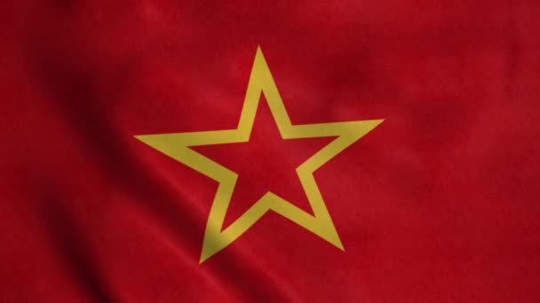 Flaga Armii Czerwonej Wieje Wietrze Realistyczne Tło Flagi — Wideo stockowe