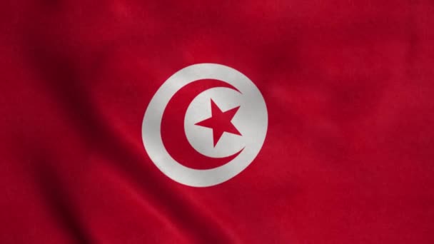 Tunisiens Flagga Vinkar Vinden Realistisk Flagga Bakgrund — Stockvideo