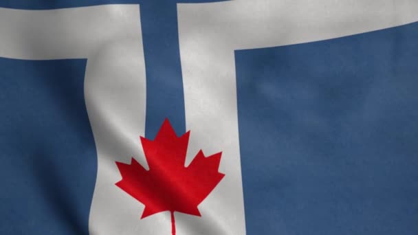 Torontói Zászló Lengett Szélben Reális Lobogó Háttér — Stock videók
