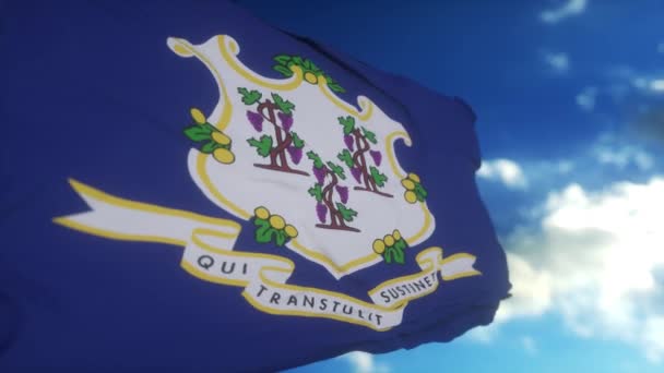 Flagge Des Bundesstaates Connecticut Region Der Vereinigten Staaten Weht Wind — Stockvideo