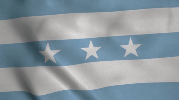 Flagga Staden Guayaquil Ecuador Viftar Vinden — Stockvideo