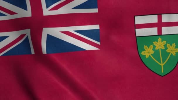Флаг Онтарио Города Канады Размахивает Ветром Реалистичный Фон Флага — стоковое видео