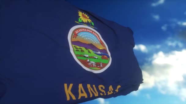 Kansas Bayrağı Gökyüzünde Dalgalanan Bir Bayrak Direğinde Kansas Eyaleti Amerika — Stok video