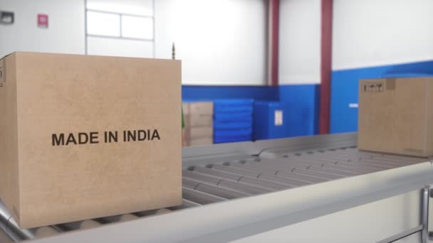 以印度进出口概念制造 滚筒输送机上装有印度产品的纸板箱 — 图库视频影像
