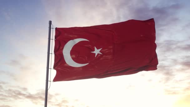 Flagga Turkiet Viftar Vinden Himlen Och Solen Bakgrund Turkisk Flaggvideo — Stockvideo