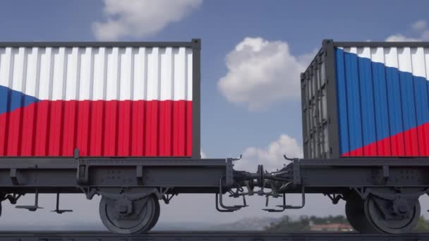 Containers Flag Czech Republic Railway Transportation — Stock Video