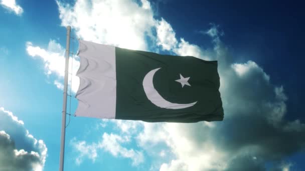 Hohe Detaillierte Flagge Pakistans Pakistanische Nationalflagge Asien Pakistan Schwenkt Flagge — Stockvideo