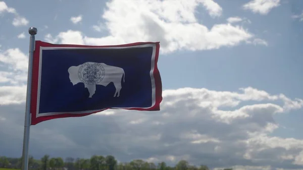 Wyoming Zászló Egy Zászlórúd Integet Szél Kék Háttér Illusztráció — Stock Fotó