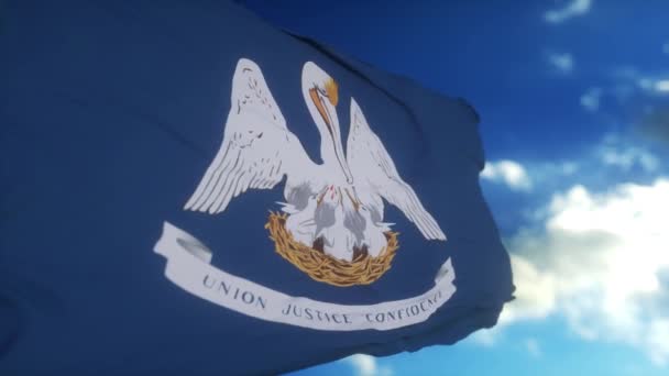 ルイジアナ州の旗竿には 空の風に手を振ってフラグ アメリカのルイジアナ州の様子 — ストック動画