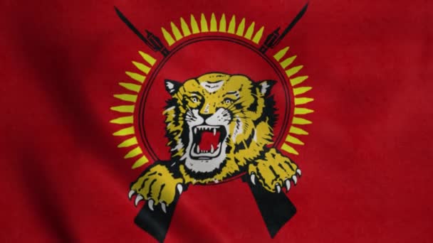Tamil Eelam Zászlója Integet Szélben Reális Lobogó Háttér — Stock videók