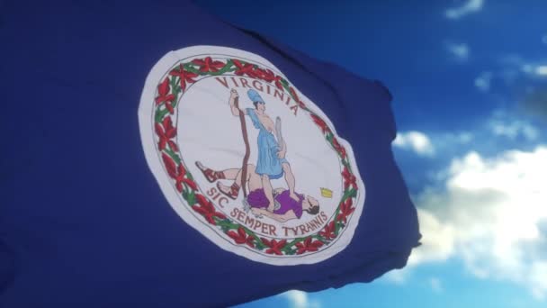 Vlajka Amerického Státu Virginie Oblasti Spojených Států Vlnící Proti Větru — Stock video