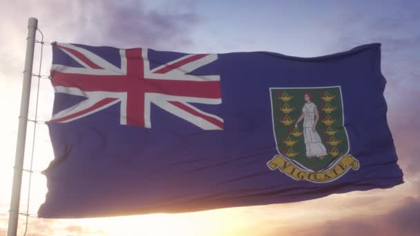 Drapeau Des Îles Vierges Britanniques Agitant Vent Contre Ciel Magnifique — Video