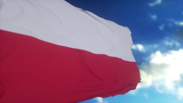 Flaga Polski Machająca Wiatrem Przed Pięknym Błękitnym Niebem Flaga Polska — Wideo stockowe