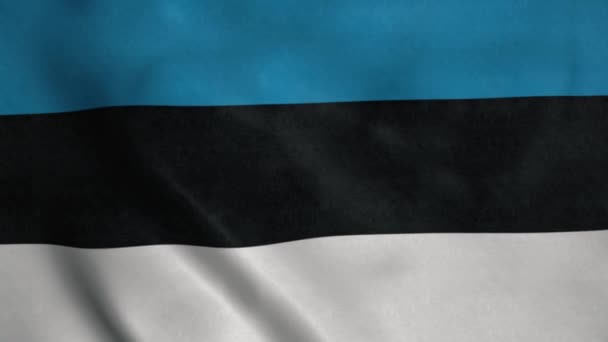 Bandera Nacional Estonia Ondeando Viento Estonia Política Noticias — Vídeo de stock