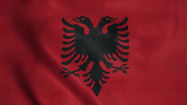 Bandeira Albânia Acenando Vento Bandeira Nacional Albânia Sinal Albânia Animação — Vídeo de Stock