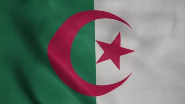 Alžírská Vlajka Vlaje Větru Alžírská Národní Vlajka Znamení Bezproblémové Animace — Stock video