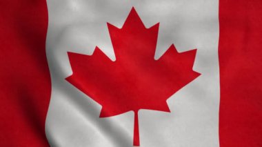 Kanada ulusal bayrağı rüzgarda dalgalanıyor. Kanada siyaseti ve haberleri.