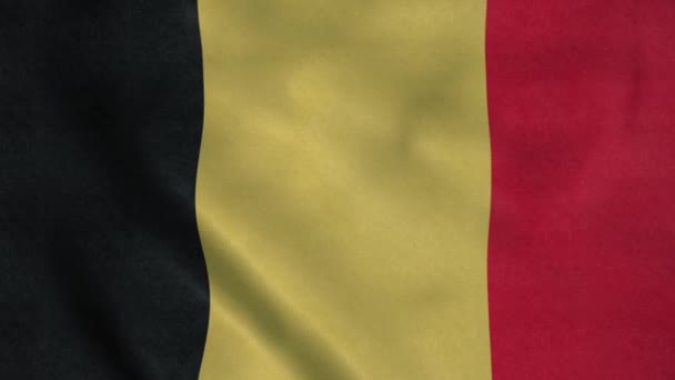 Belgium Nemzeti Zászló Lengett Szélben Belgium Politika Hírek — Stock videók