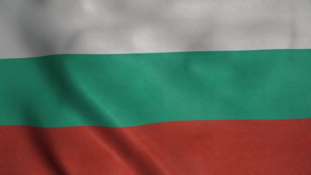 Bulgarien Nationella Flaggan Vinkar Vinden Bulgarien Politik Och Nyheter — Stockvideo