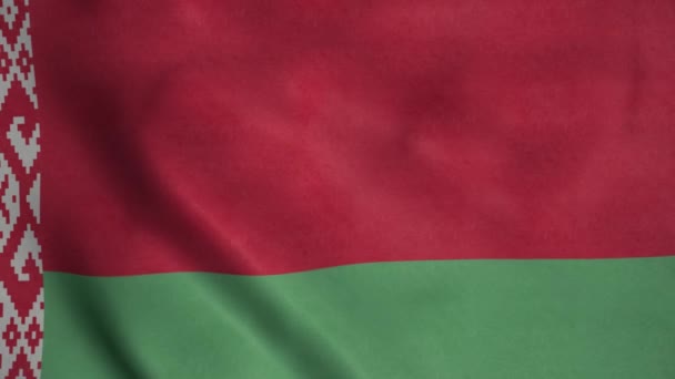 벨라루스 국기가 바람에 흔들리고 있습니다 벨라루스 — 비디오