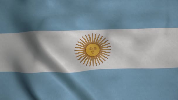 Argentinská Národní Vlajka Vlaje Větru Argentina Politika Zprávy — Stock video