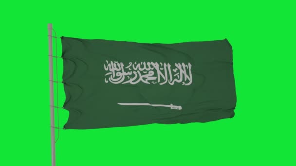 Saudiarabiens Flagga Vinkar Grön Skärm Saudiarabiens Nationalflagga Flagga Sömlös Loop — Stockvideo