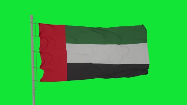 Birleşik Arap Emirlikleri Veya Bae Bayrağı Yeşil Ekranda Dalgalanıyor Birleşik — Stok video