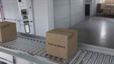 Robot kol, Fransisco yapımı karton kutuyu alıyor. Konveyörde Fransa 'dan gelen ürünlerle dolu karton kutular..