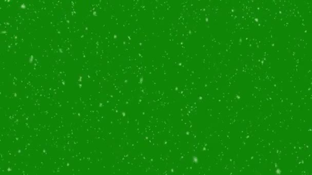 Sobreposição Flocos Neve Fundo Tela Verde Inverno Efeito Neve Caindo — Vídeo de Stock