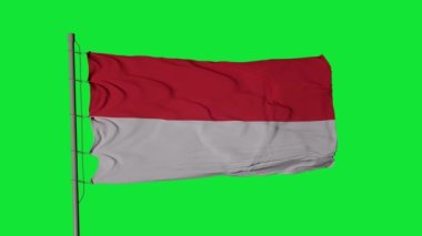 Endonezya bayrağı yeşil ekranda dalgalanıyor. Endonezya bayrağı dikişsiz döngü canlandırması.