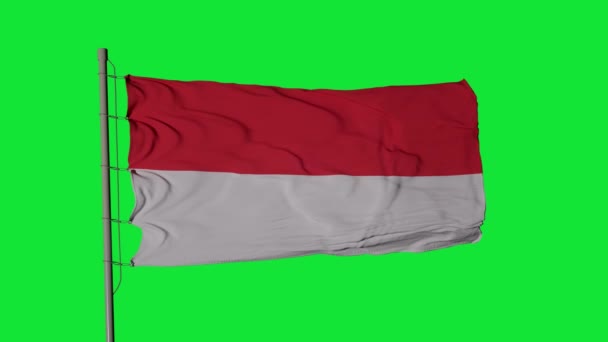 インドネシアの国旗が緑色のスクリーン上に掲げられています インドネシアの国旗シームレスループアニメーション — ストック動画
