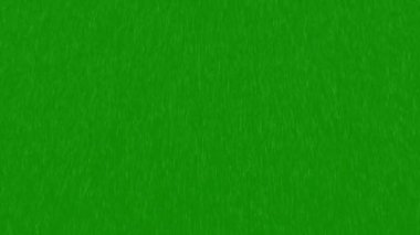 Yeşil ekranda yağmur animasyonu. Şiddetli Yağmur yeşil arkaplanının döngü canlandırması.