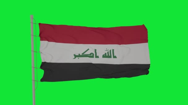 Irak Bayrağı Yeşil Ekranda Dalgalanıyor Irak Bayrağı Kusursuz Döngü Animasyonu — Stok video