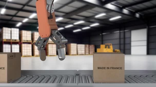 Robotkar Felveszi Kartondobozt Ami Franciaországban Készült Kartondoboz Francia Termékkel Görgős — Stock videók