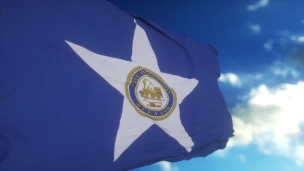 Houston Şehir Bayrağı Rüzgarda Dalgalanıyor Teksas Eyaleti Abd Ulusal Bayrağı — Stok video