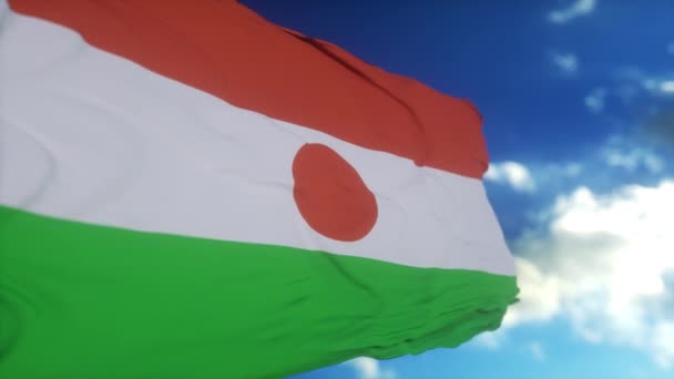 Rüzgarda Sallanan Nijer Bayrağı Nijer Ulusal Bayrağı Afrika — Stok video