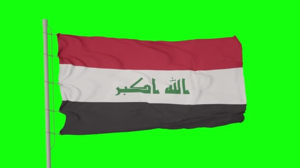 Σημαία Του Ιράκ Κυματίζει Στην Πράσινη Οθόνη Σημαία Ιράκ Απρόσκοπτη — Αρχείο Βίντεο