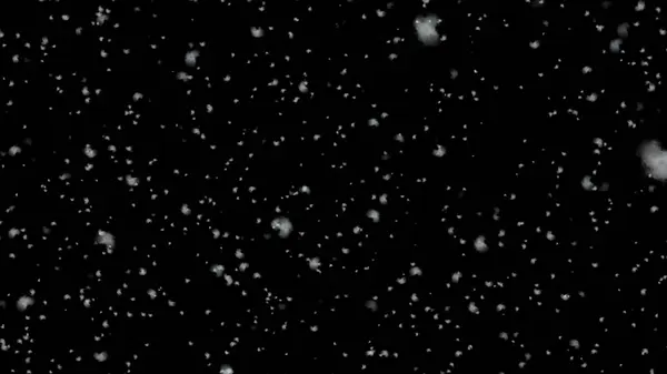 Snowfall concept. Winter Snow. Snowfall overlay on black background. 3d illustration.