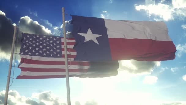 Bandiere Dello Stato Del Texas Sventolano Insieme Alla Bandiera Nazionale — Video Stock