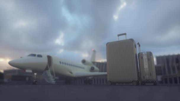 Перевезення Багажу Очікуванням Приватного Літака Приватний Літак Чекає Рейс Концепція — стокове відео