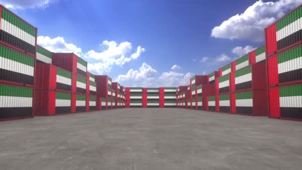 悬挂阿拉伯联合酋长国国旗的集装箱位于集装箱码头 阿联酋进出口概念 — 图库视频影像