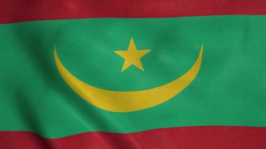 Moritanya rüzgarda bayrak sallıyor. Moritanya 'nın ulusal bayrağı. Moritanya İslam Cumhuriyeti İşareti.