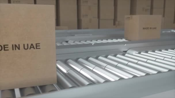 Cardboard Boxes Made Uae Text Roller Conveyor Factory Production Line — Stock Video